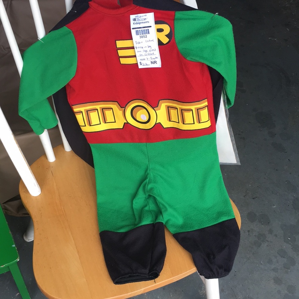 Robin costume